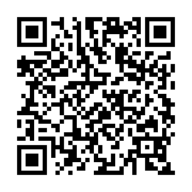 QR 9295bbb