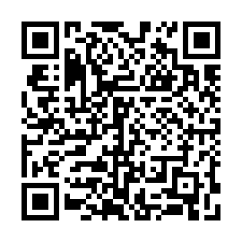 QR 92b3353