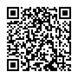 QR 92e0313