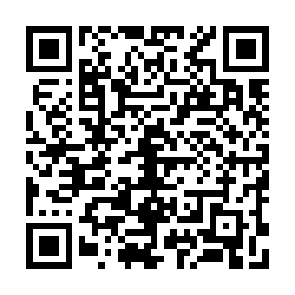 QR 933c995