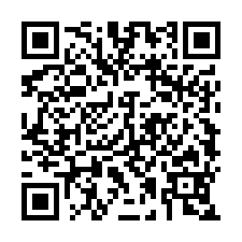 QR 93878e4