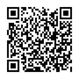 QR 93881ad