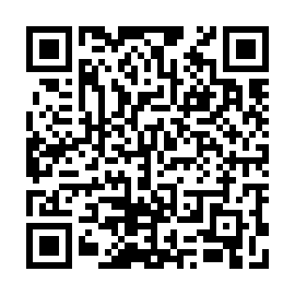 QR 93a5256