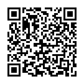 QR 93beada