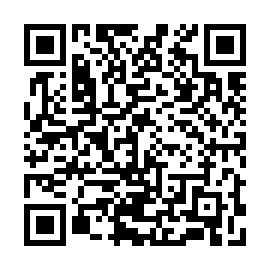 QR 93c01b8