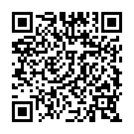 QR 93d533d