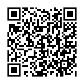 QR 946313e