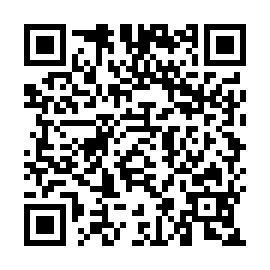 QR 9491311