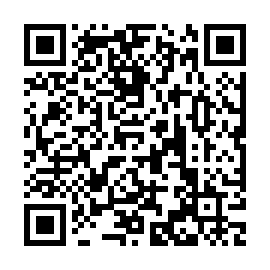 QR 94b3877