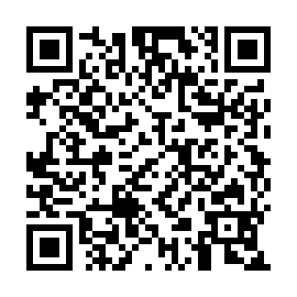 QR 94b5e33