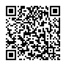 QR 951a81d