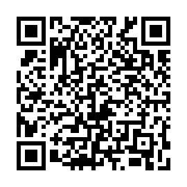 QR 955e082