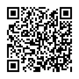 QR 9593913