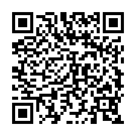 QR 9593a84