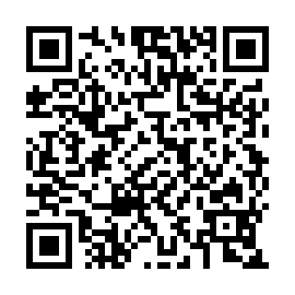 QR 95a00d3