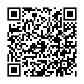QR 95a8e10