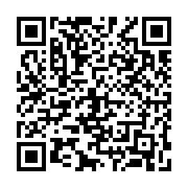 QR 95ab991