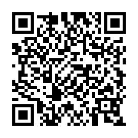 QR 95b3e60