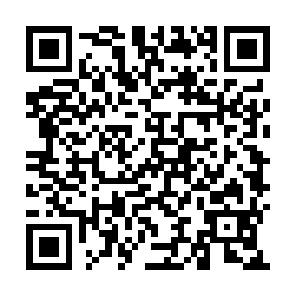 QR 95c6384