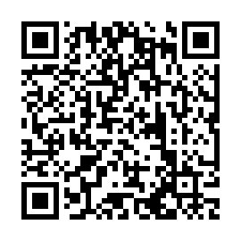 QR 95cc223