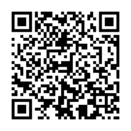 QR 95e253d