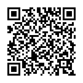 QR 95ed300