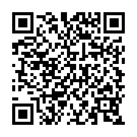 QR 95ed615