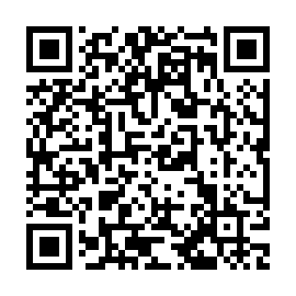 QR 95efa03