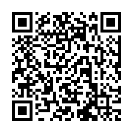 QR 95f13b8
