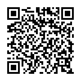 QR 95fe20d