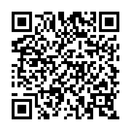 QR 95fe655