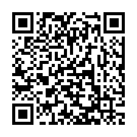 QR 96599e4