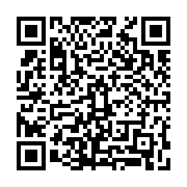 QR 96a1732