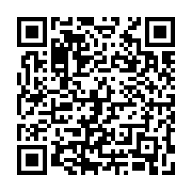 QR 96a3b91