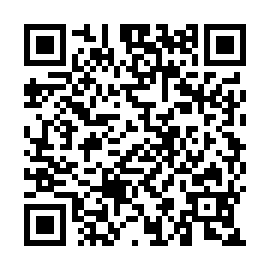 QR 979c313