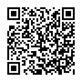 QR 99113c3