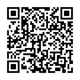 QR 993a0ff