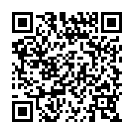 QR 993aa2e