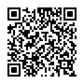 QR 993adc3
