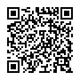 QR 993e924