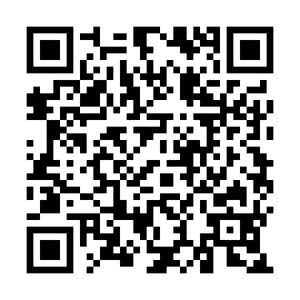 QR 99a738b