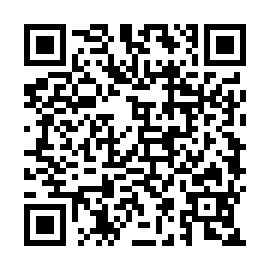 QR 99b69a4