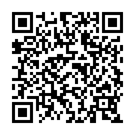 QR 99e538b