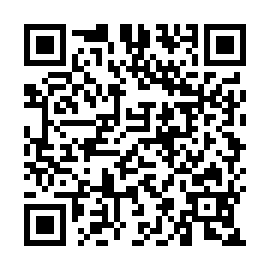 QR 99e6311