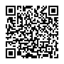 QR 9a3b528