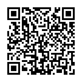 QR 9a53806