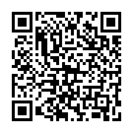 QR 9a85004
