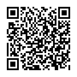 QR 9aae4e4