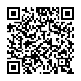 QR 9b08c53