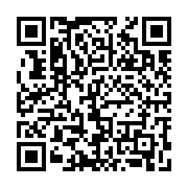 QR 9b13d06